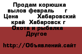 Продам корюшка вылов февраль 2018г › Цена ­ 250 - Хабаровский край, Хабаровск г. Охота и рыбалка » Другое   
